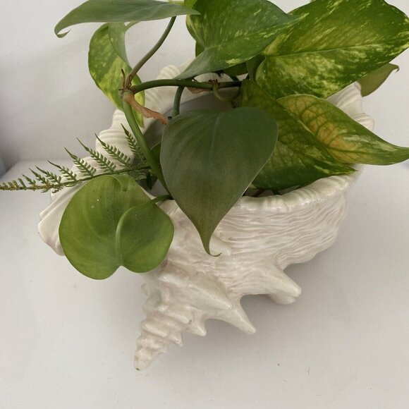 Vintage Ceramic Mold Neutral Nautilus Conch Sea Shell Planter Vase Beach House - Picture 11 of 12